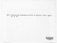 Image of Marssonina stenospora